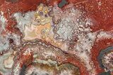 Polished Crazy Lace Agate Stand-Up - Mexico #326140-1